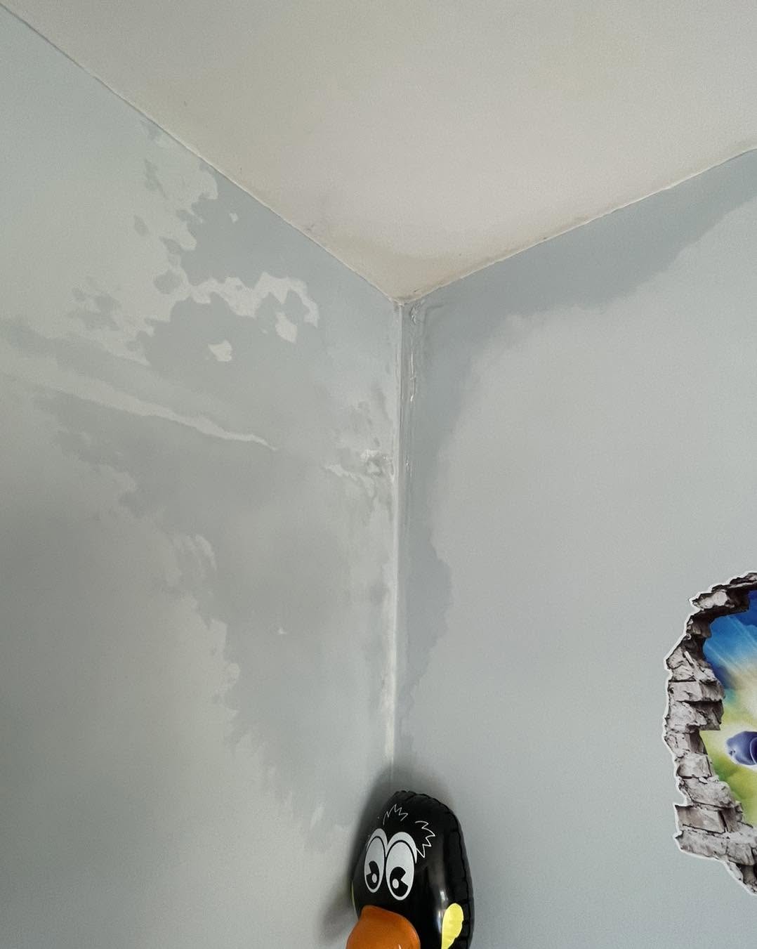 Damp proofing North Devon