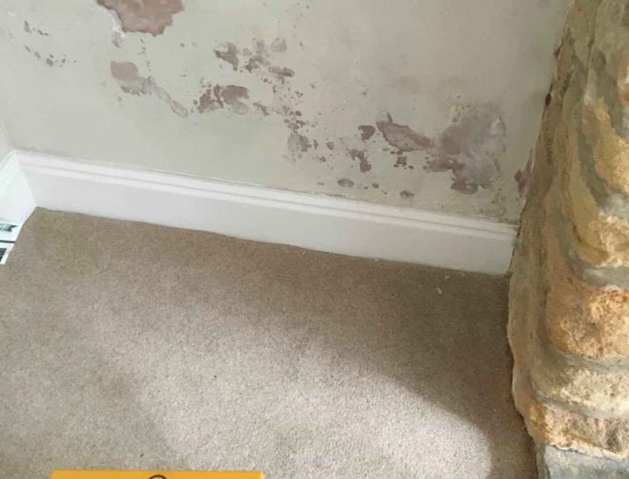 Damp proofing North Devon
